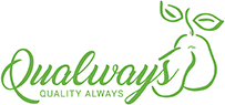 QUALWAYS LLC