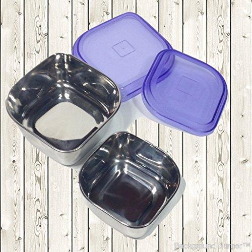 Stainless Steel 10 Oz and 6 Oz Snack Containers  Set Of 2